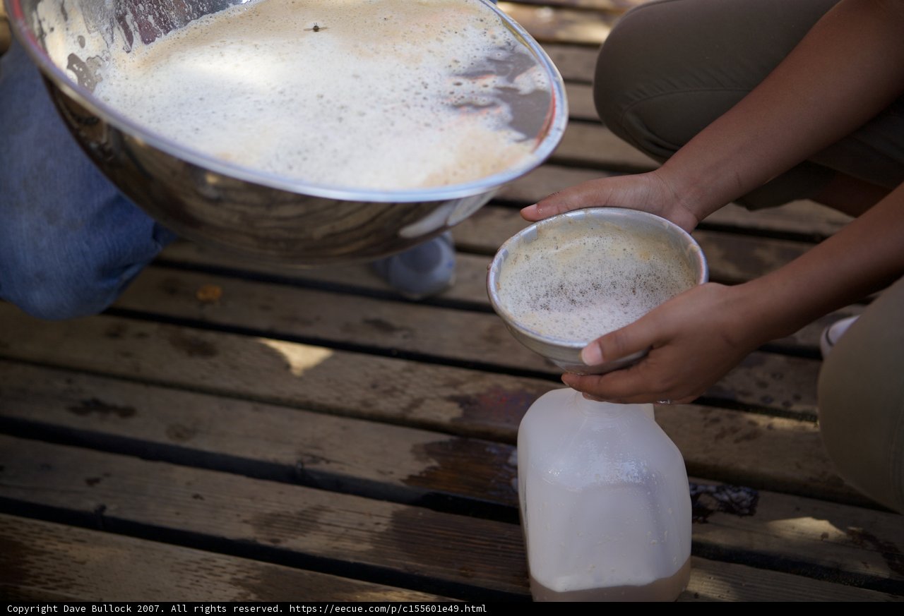 Milking It Caption: A woman pours milk into a wooden bowl while enjoying a beverage at the 2007/UA apple farm.