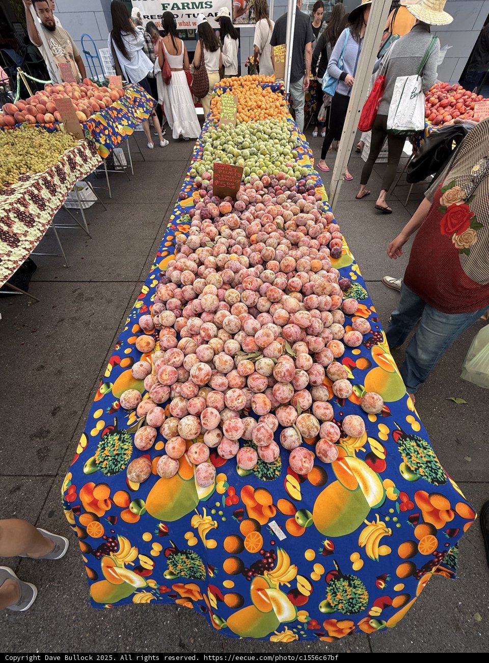 Bustling Summer Bounty
