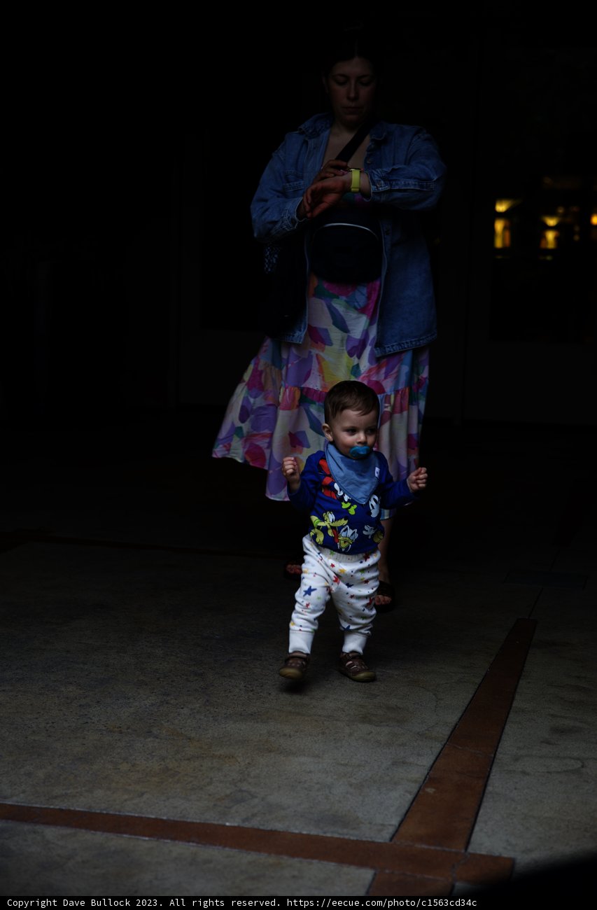 Magical Stroll Through Disneyland