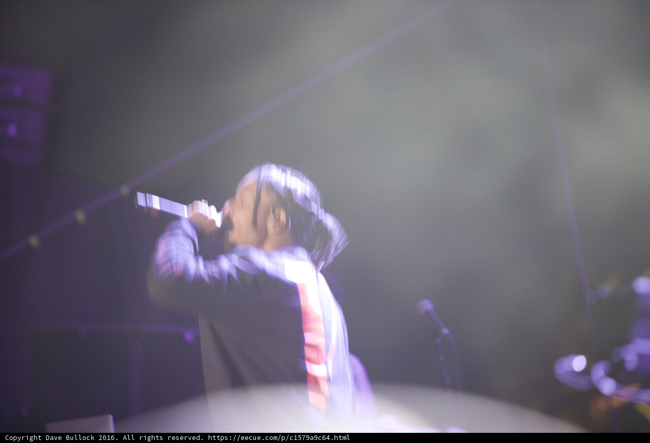 Spotlight on the Performer