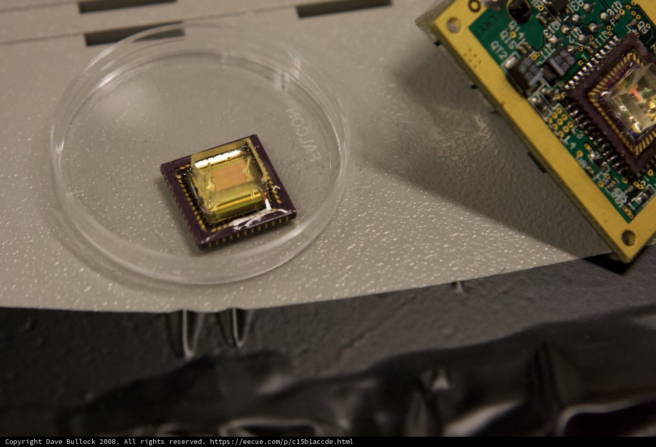 The Mighty Microchip