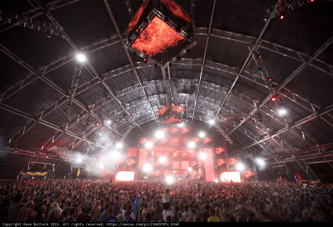 Rocking out with the Crowd at Coachella