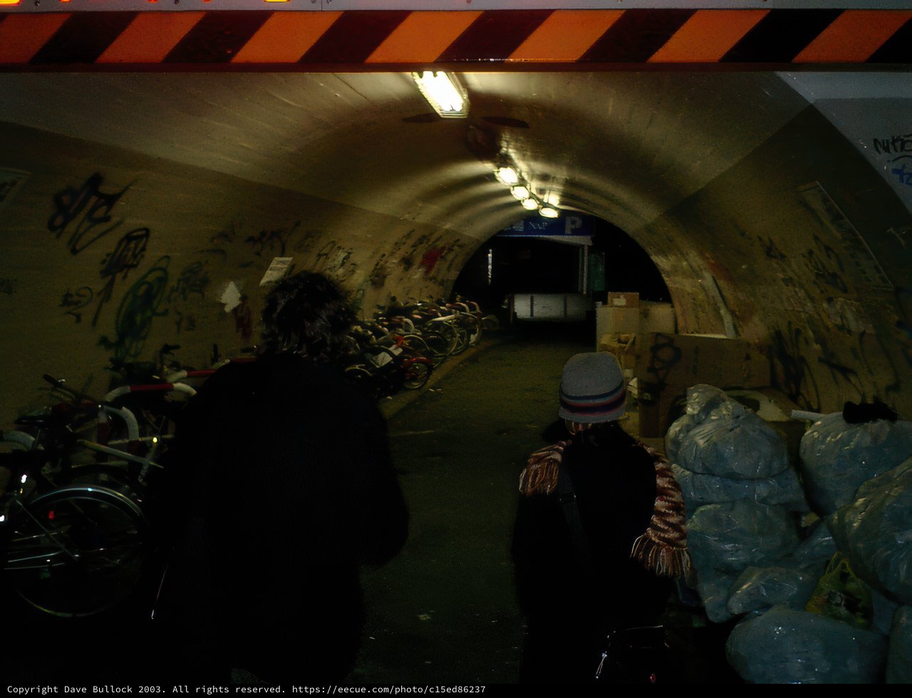 Tunnel Wanderers