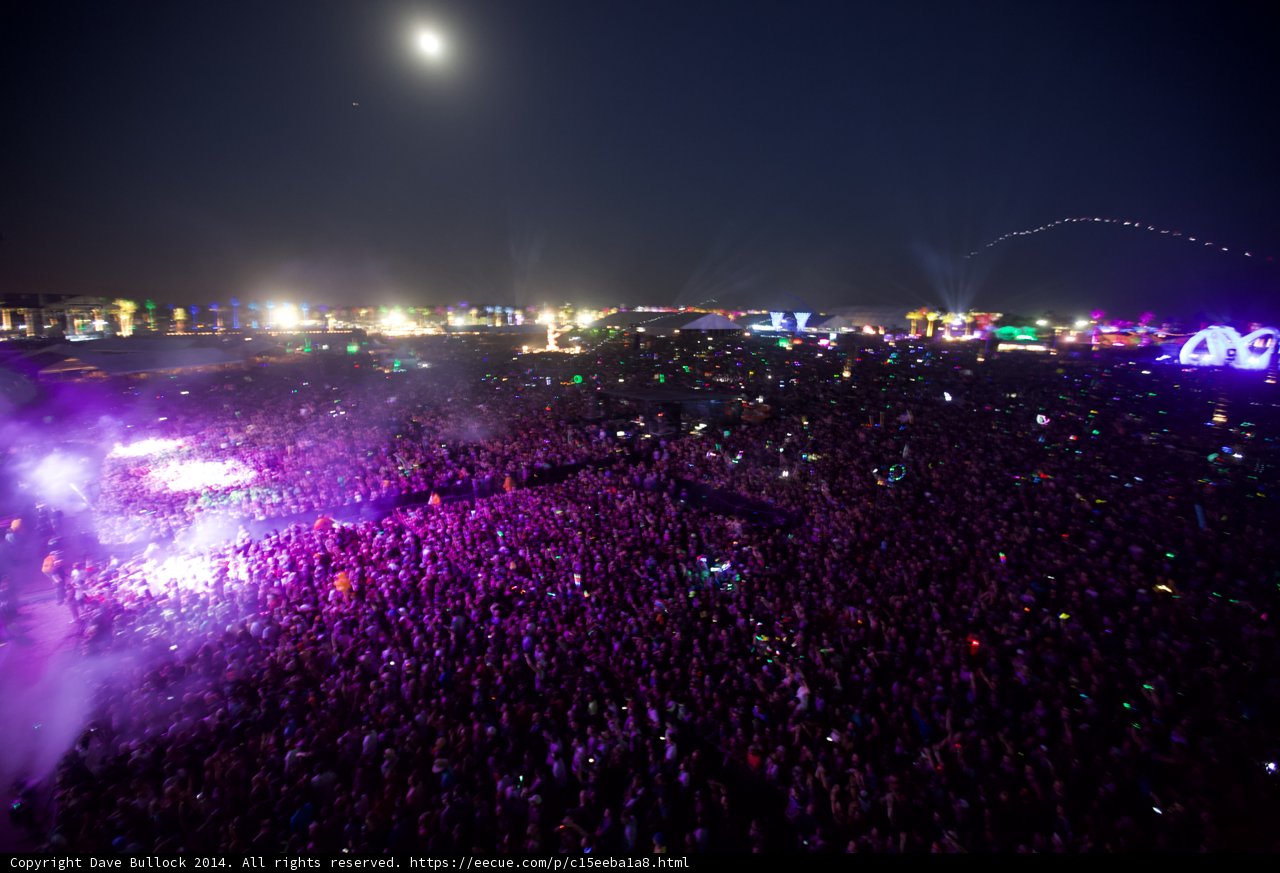 Moonlit Madness