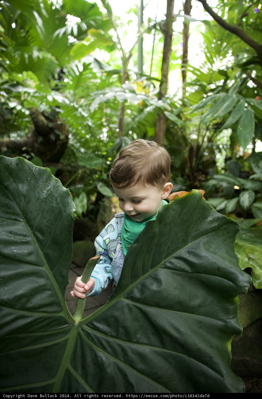 The Curiosity of Youth Amid the Foliage