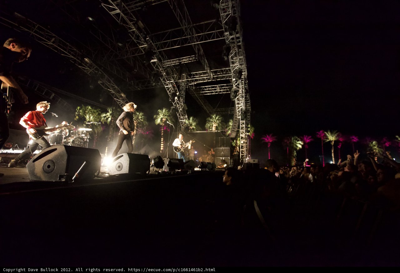 Night Jamming with the Palm Trees