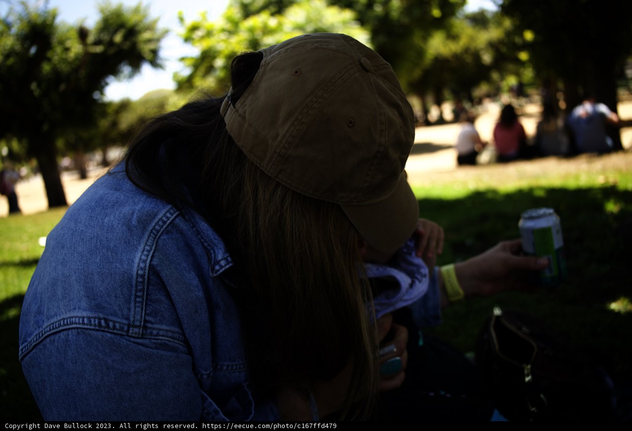 Casual Summer Days at the Californian Park
