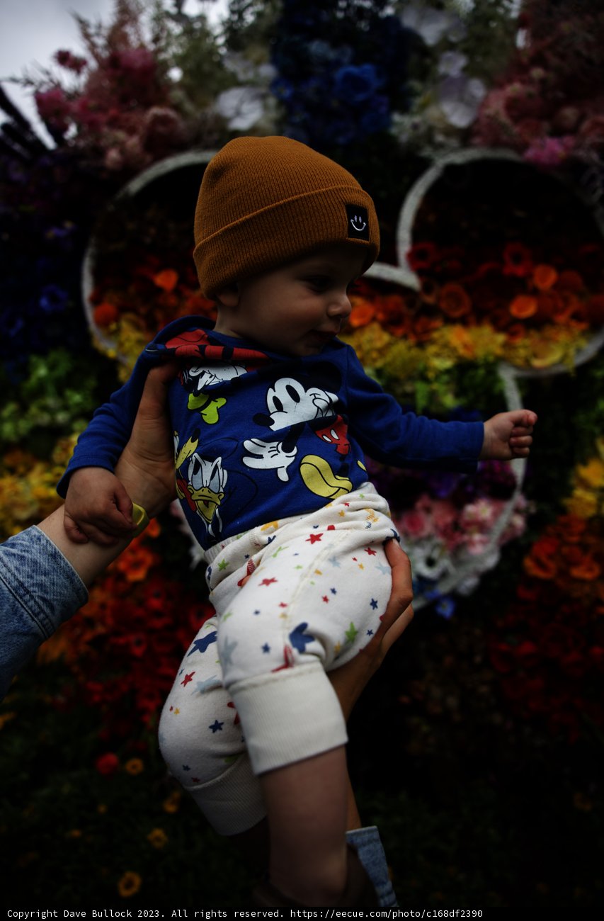 Blooming Memories with Baby Wes