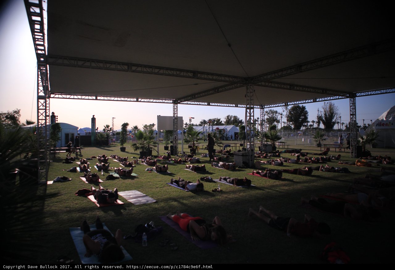 Yoga in the Sun