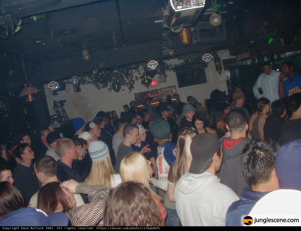 Nightclub Celebration