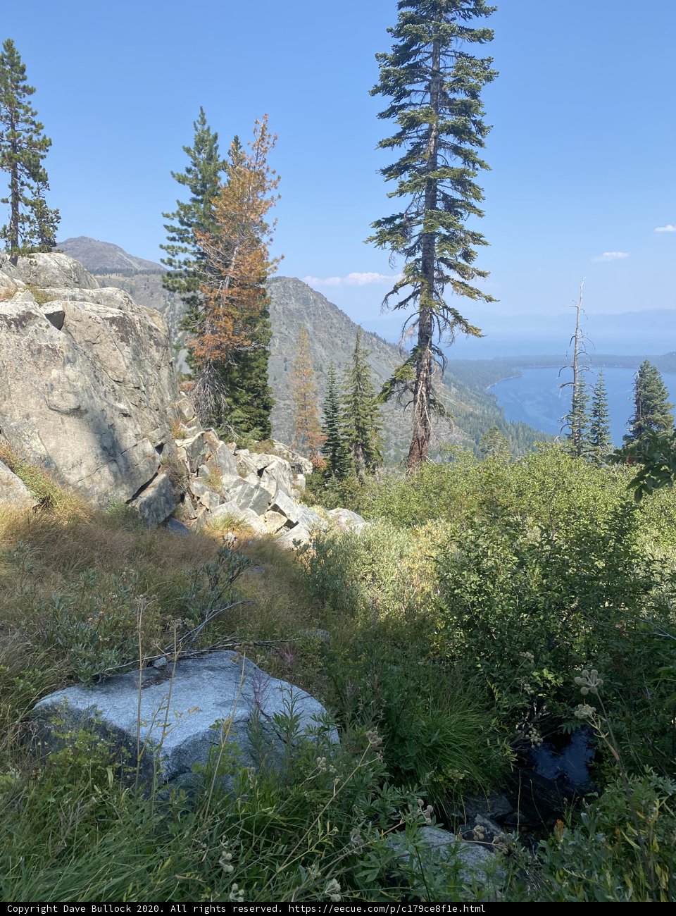 Majestic Mountain and Lush Lake