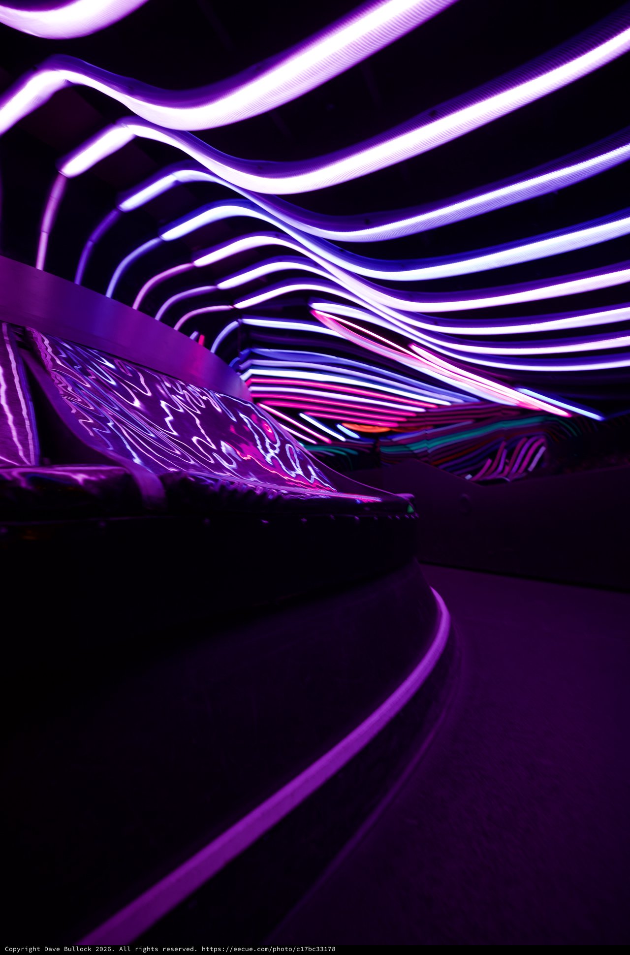 Immersive Purple Light Installation with Flowing Waves