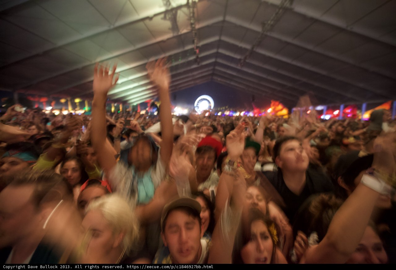 Music Festival Madness