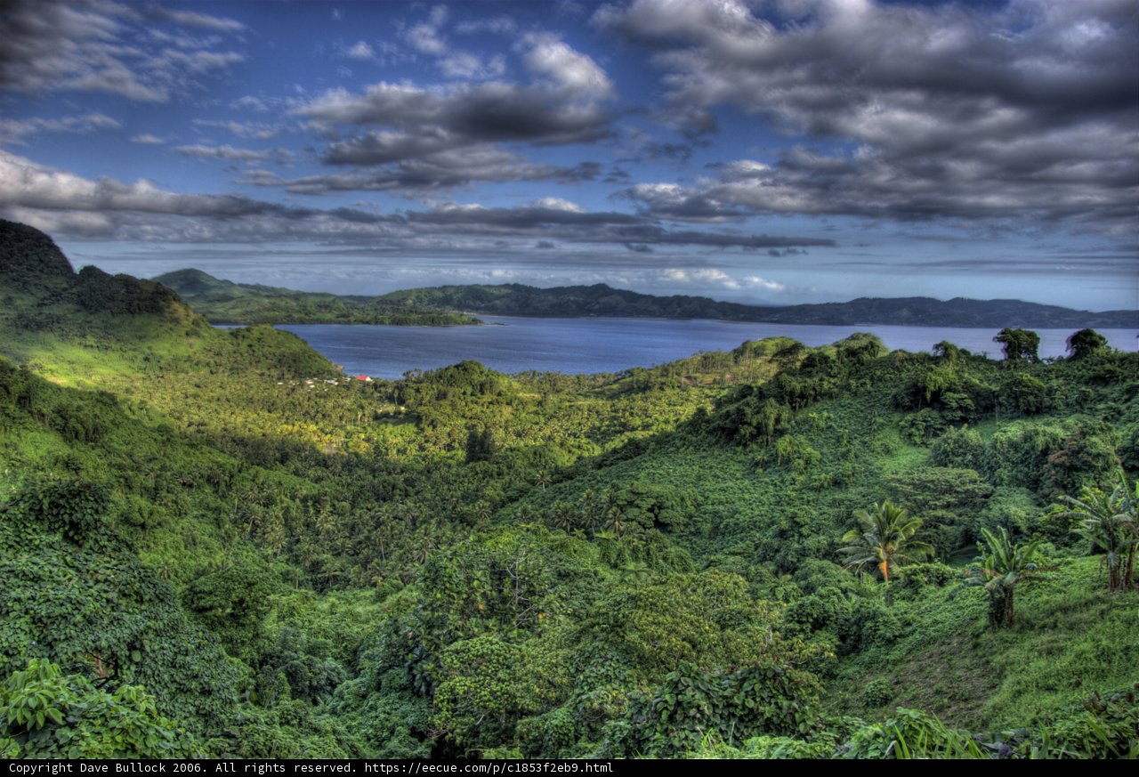 Majestic Rainforest and Lake