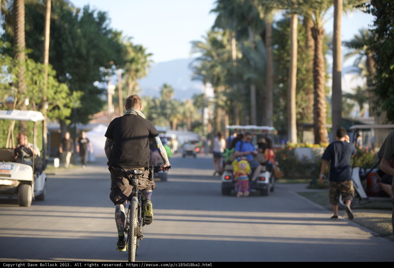 Palm Tree Cycling Adventure