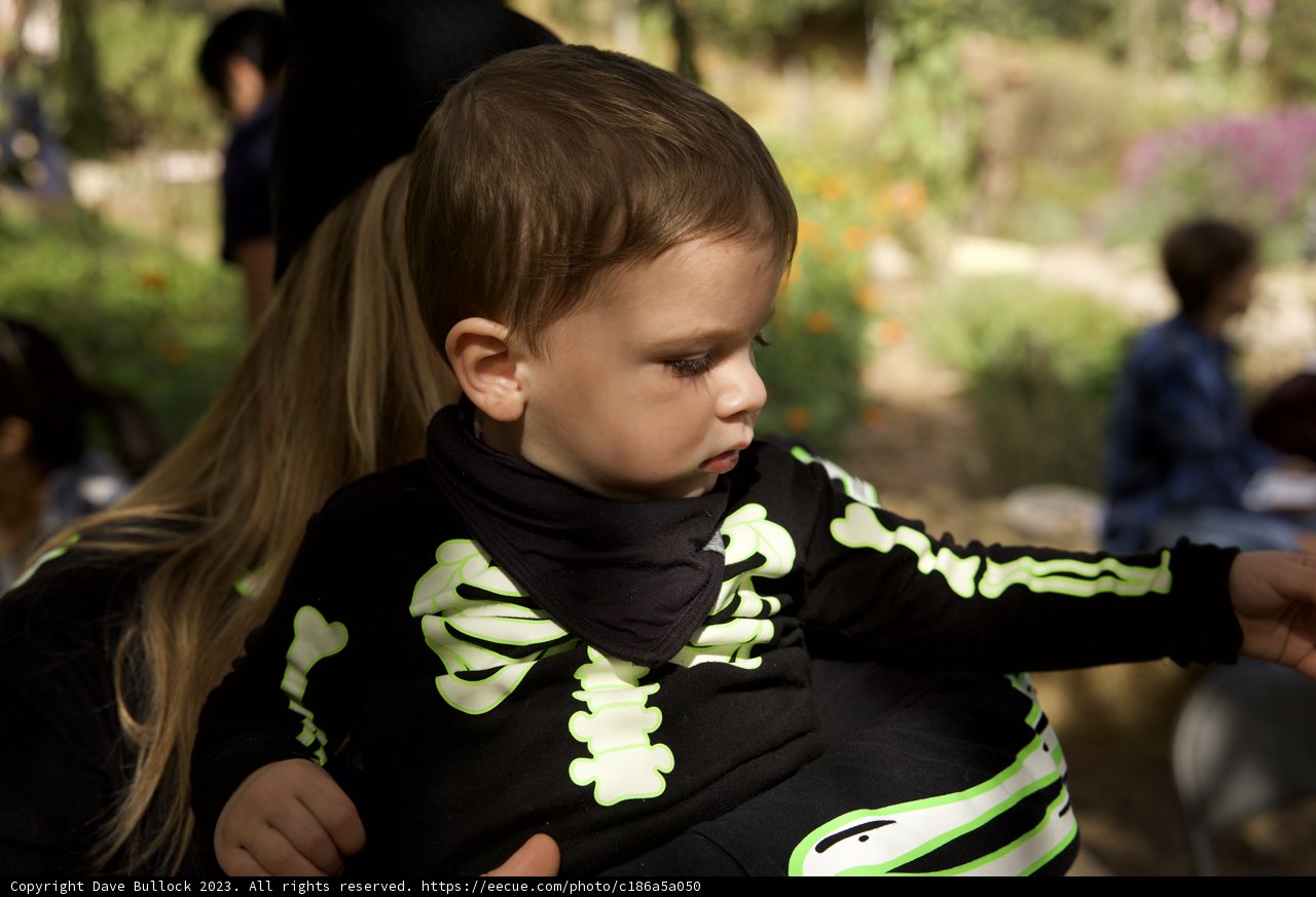 Frightfully Delightful - Halloween in San Francisco 2023