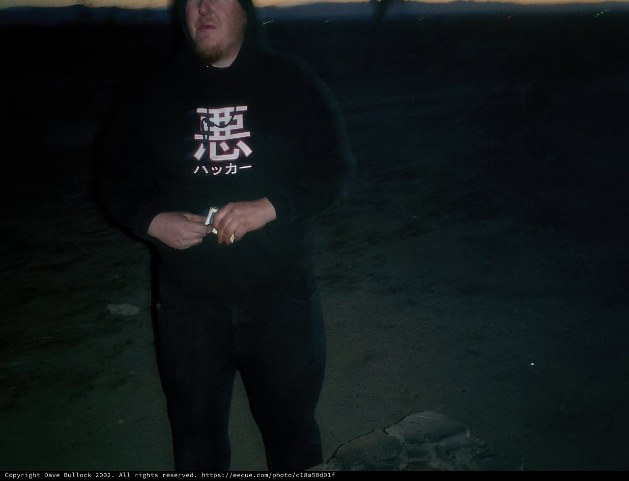 Night Wanderer