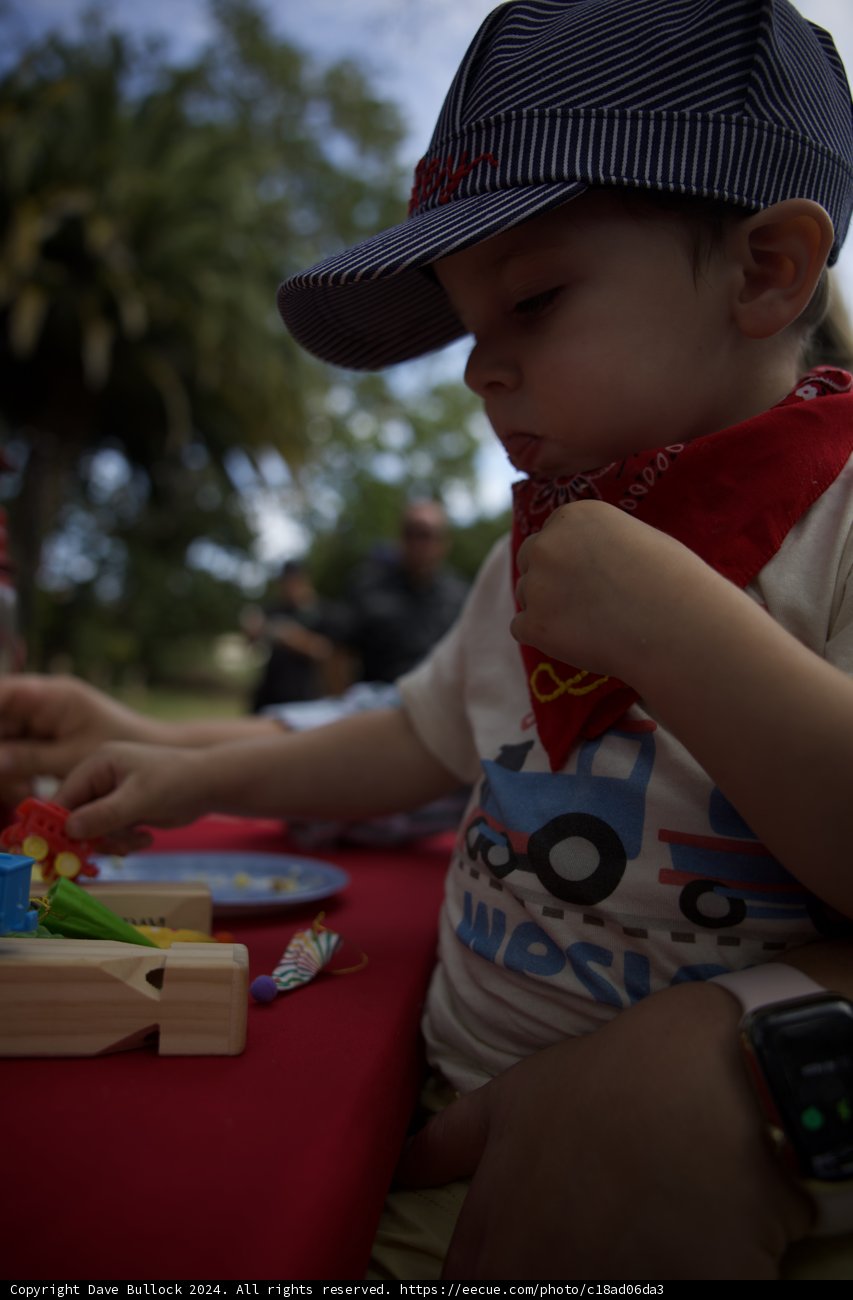 Little Adventurer's Second Birthday