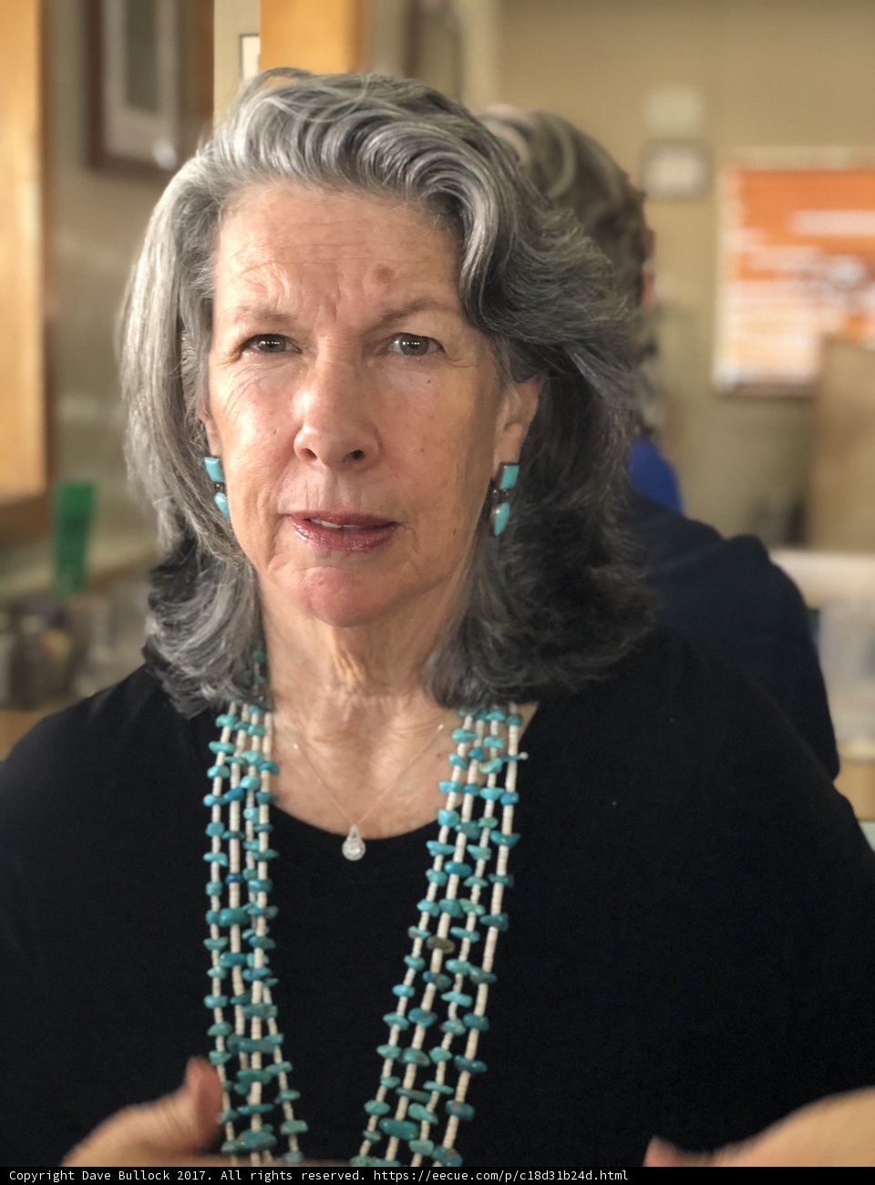 Gray-Haired Lady with a Beaded Necklace