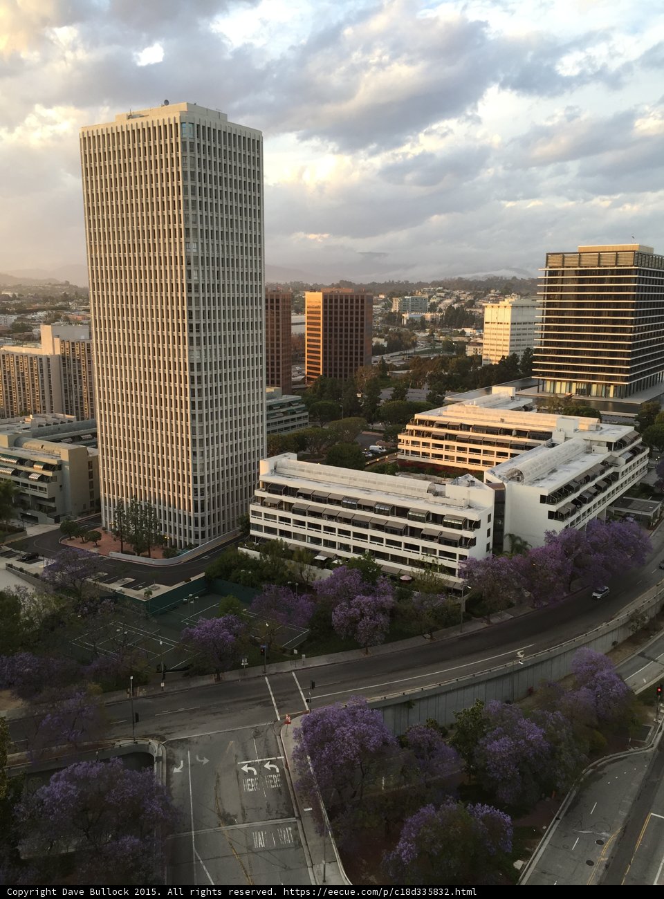 Sky-high View of the Metropolis