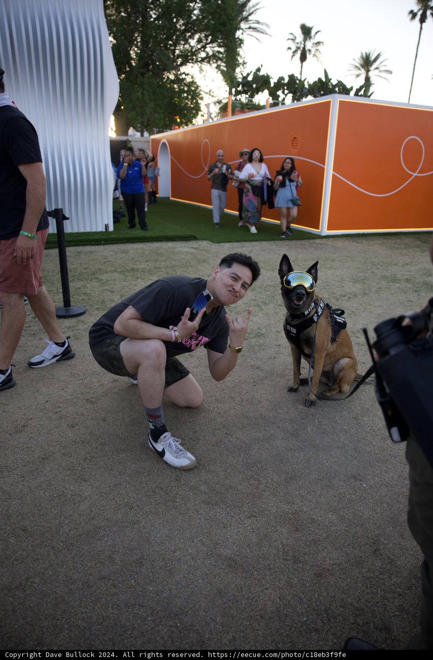 Pals at Play: Coachella 2024 Vibes with a Canine Friend