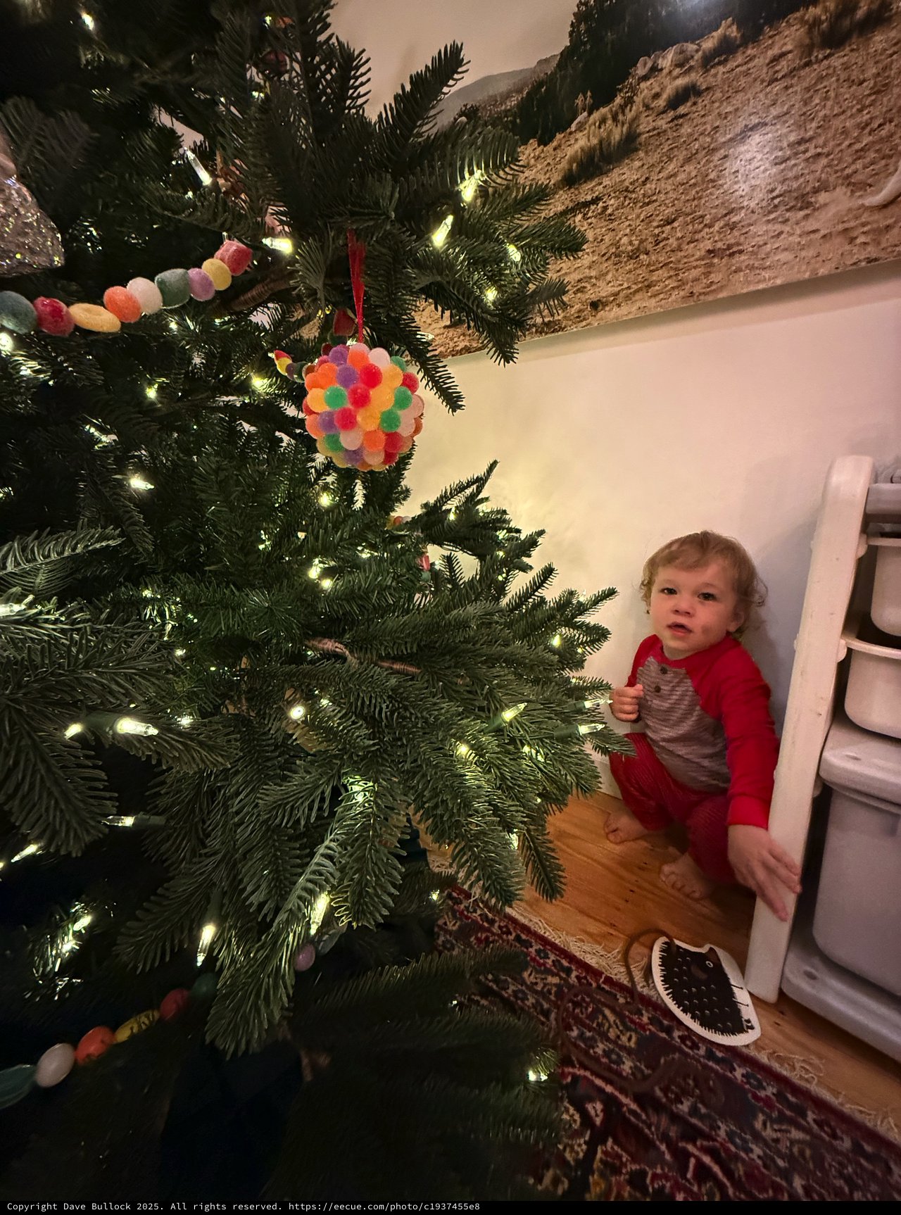 Toddler's First Christmas Tree Moment at Home
