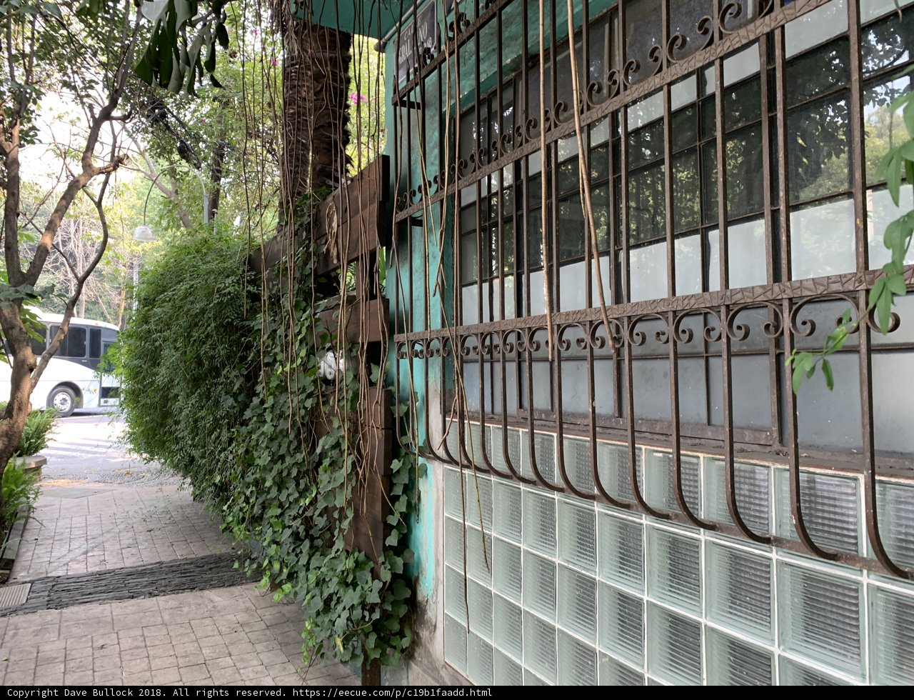 A Serene Garden Haven in the Heart of the City
