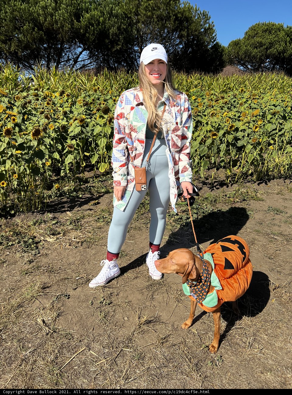 A Girl and Her Beagle Under the California Sun