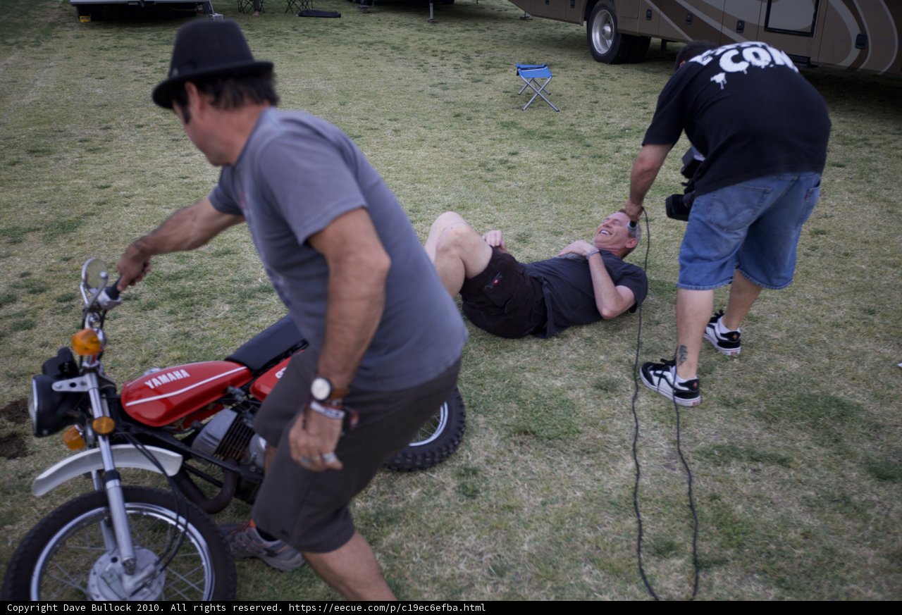 Down in the Grass