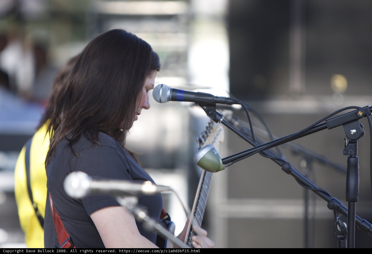 Entertainer Strums to the Crowd