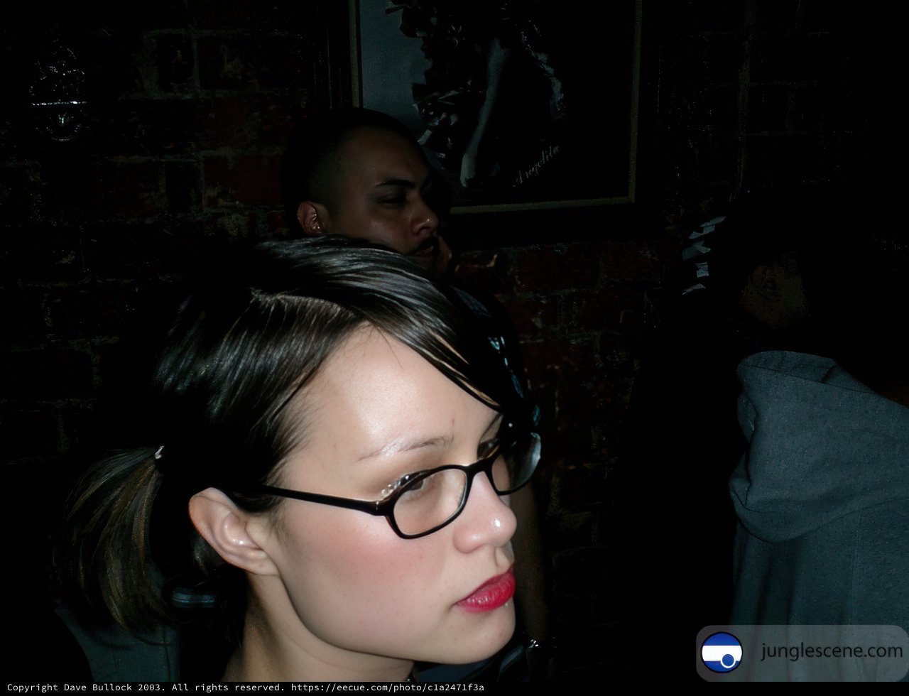 Portrait of a Woman Wearing Glasses