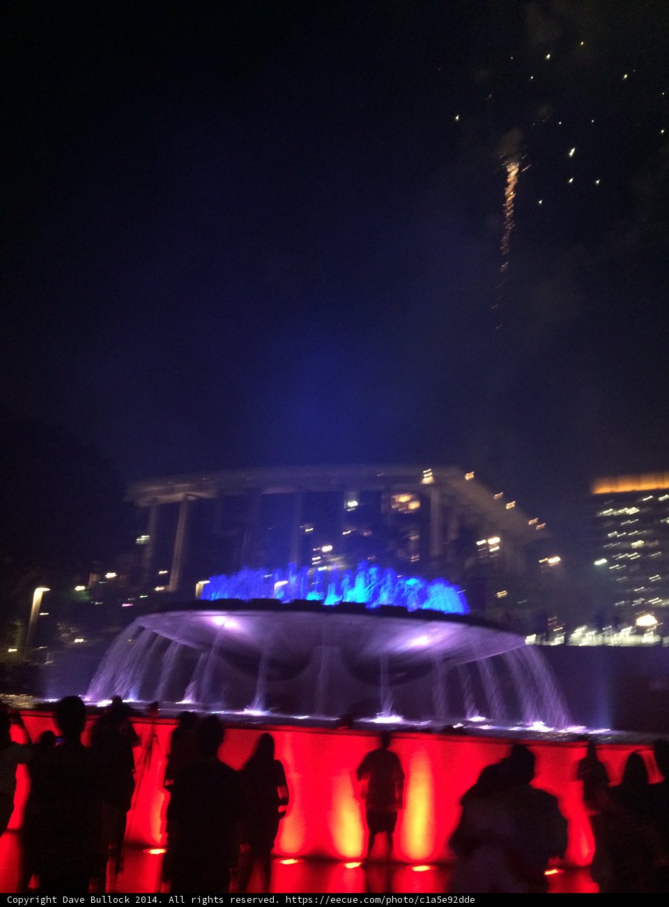 Amidst the Lights and Water