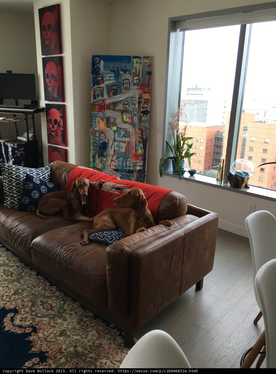 Lounge on a Leather Couch