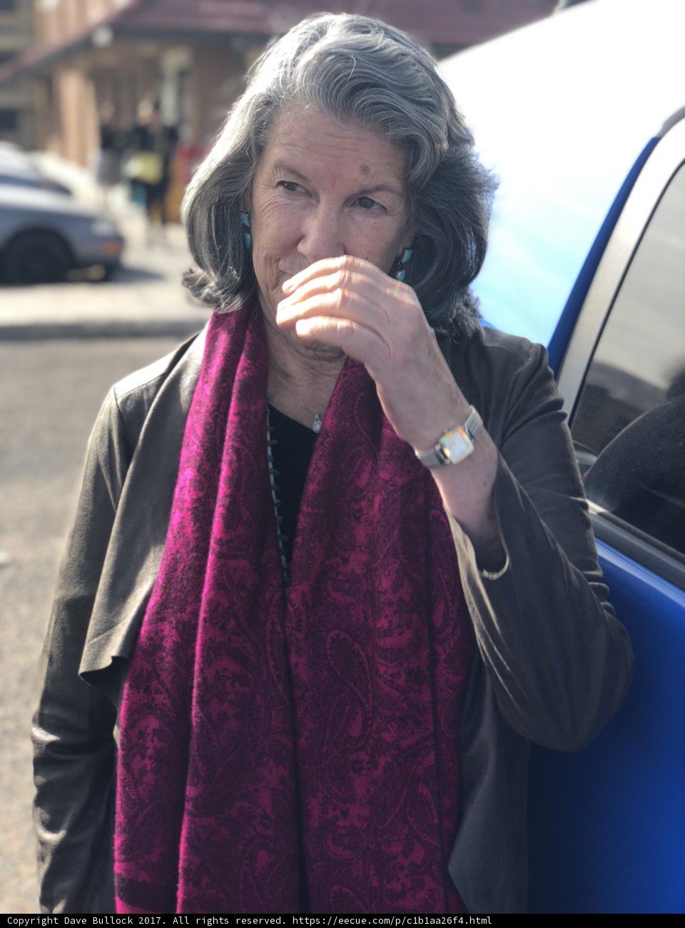 Gray-Haired Lady and Her Cars