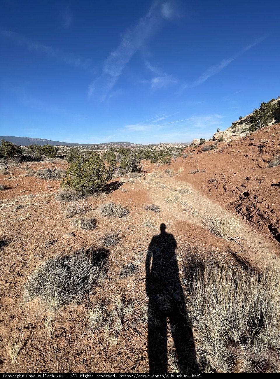 Lone Adventurer in the Vast Desert