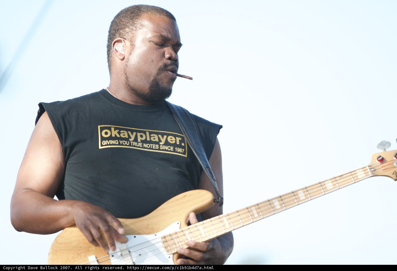 Bassist in Action