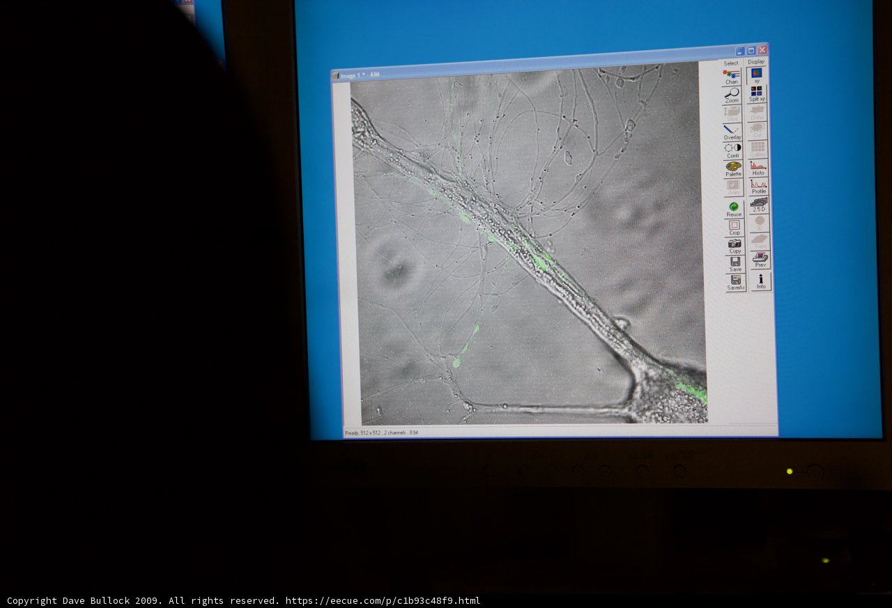 Green Line on Computer Screen
