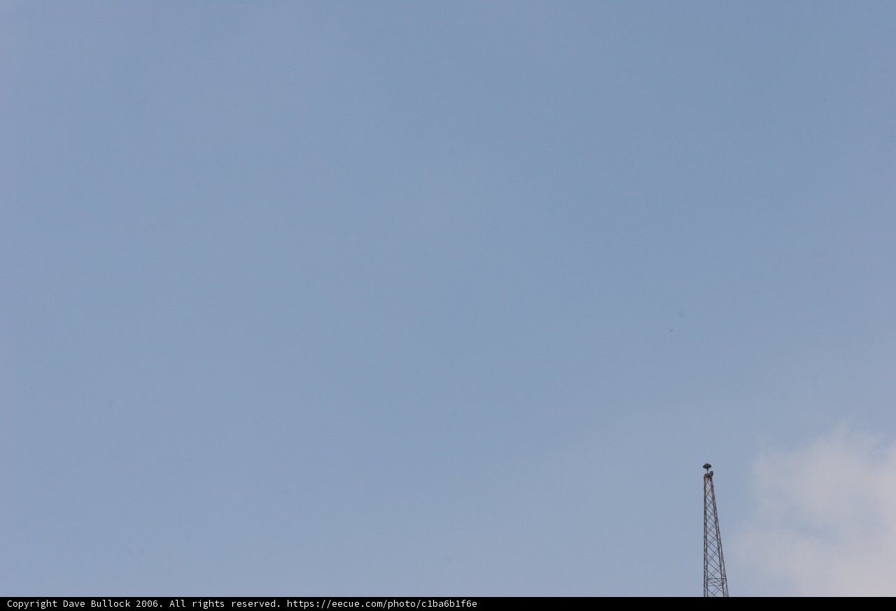 Towering Skies