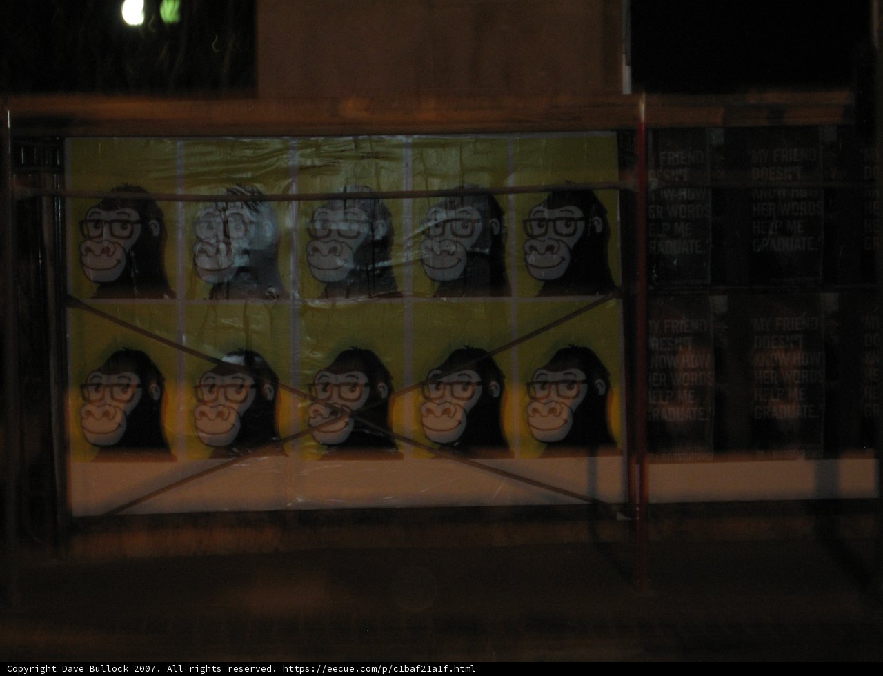 Educated Ape Mural