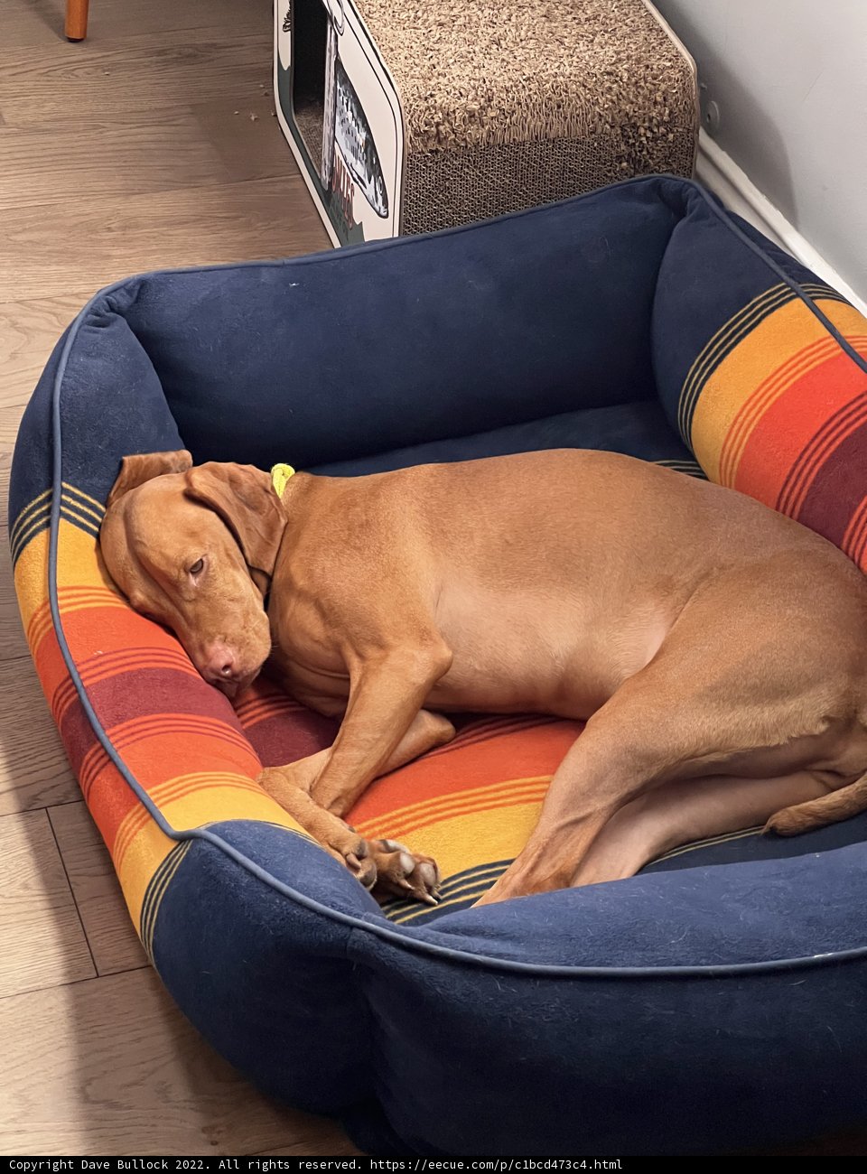 Snooze Fest