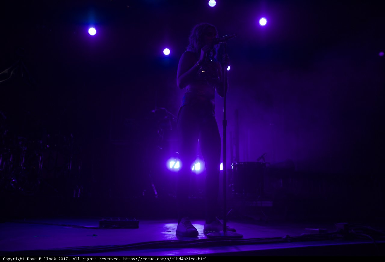 Purple Spotlight