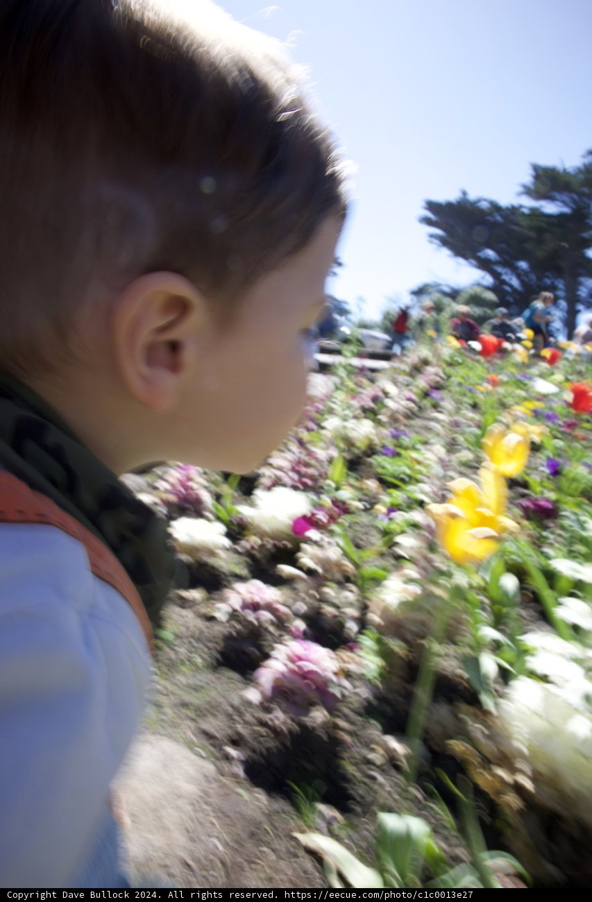 Discovery in Nature: A Child's Fascination