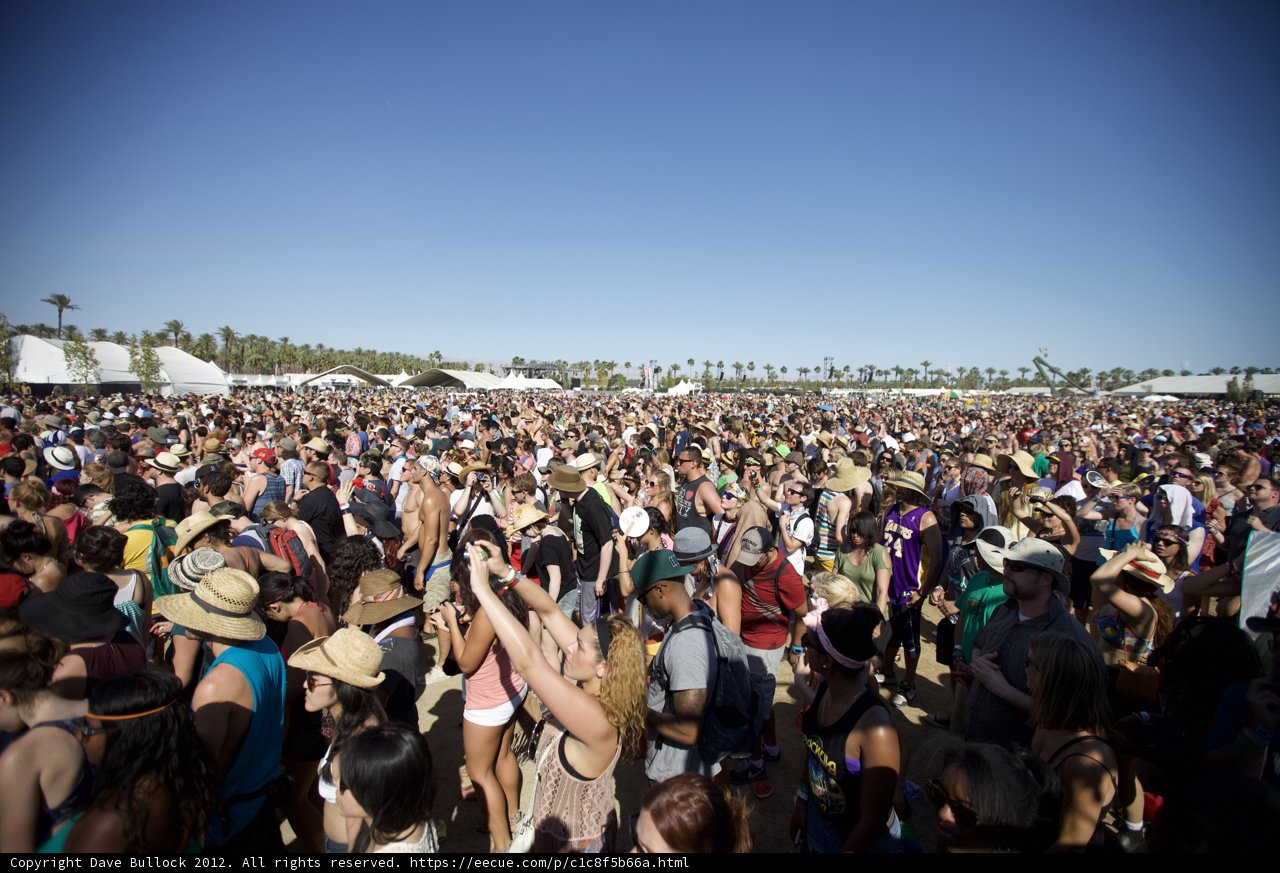 The Electric Crowd at Coachella