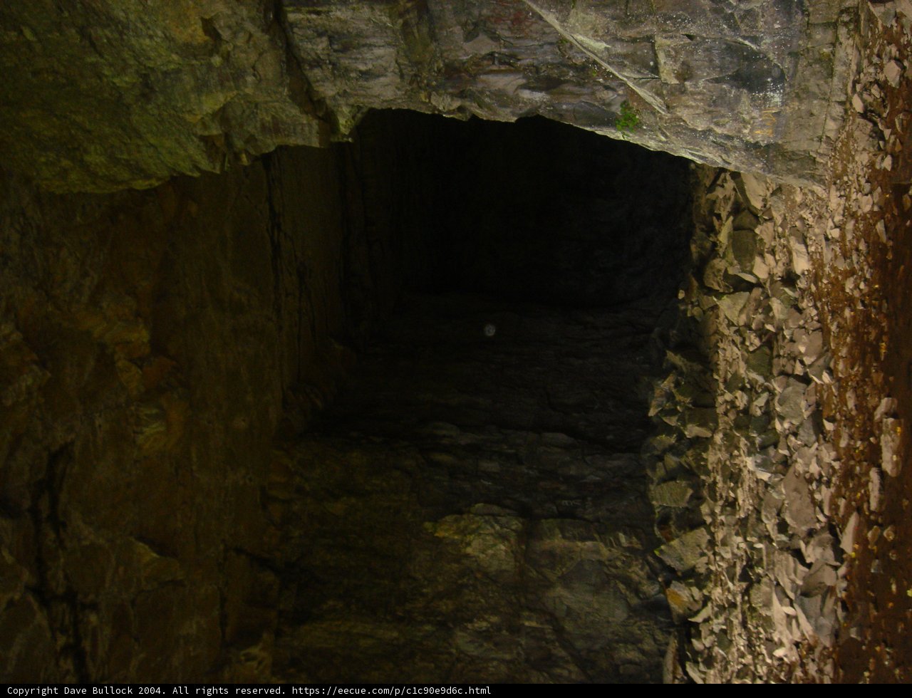The Dungeon Bunker Tunnel