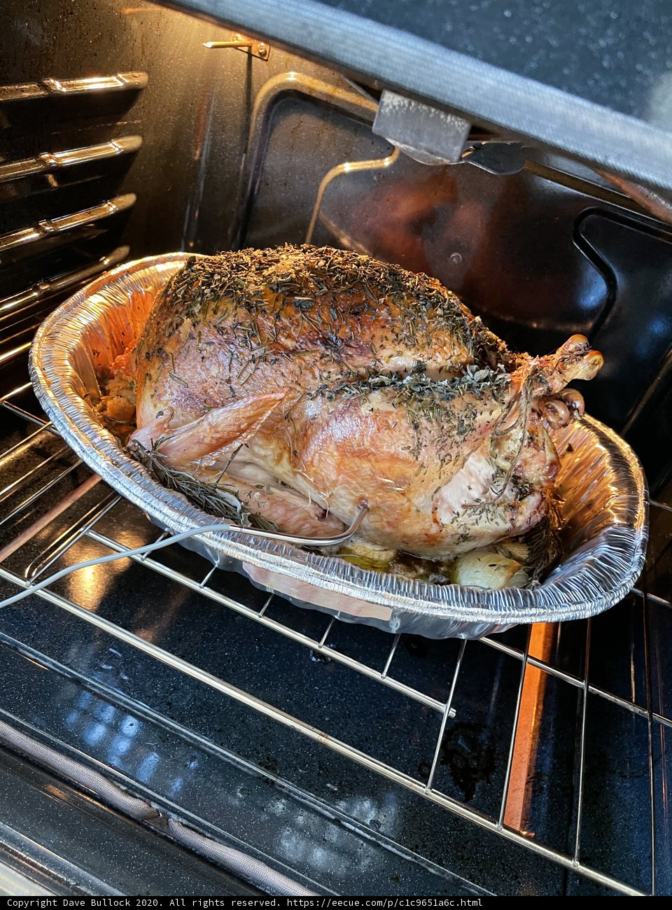 Roasting a Thanksgiving Turkey in San Francisco