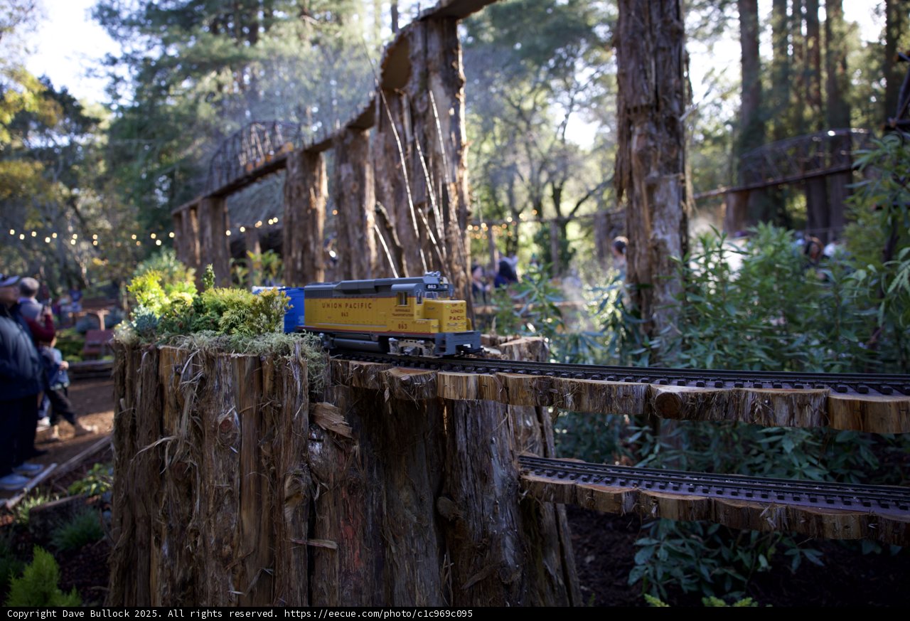 Nature's Railway