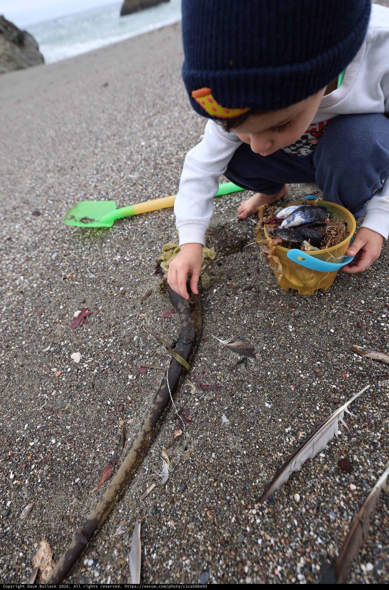 Young Explorer Collecting Treasures on the Beach