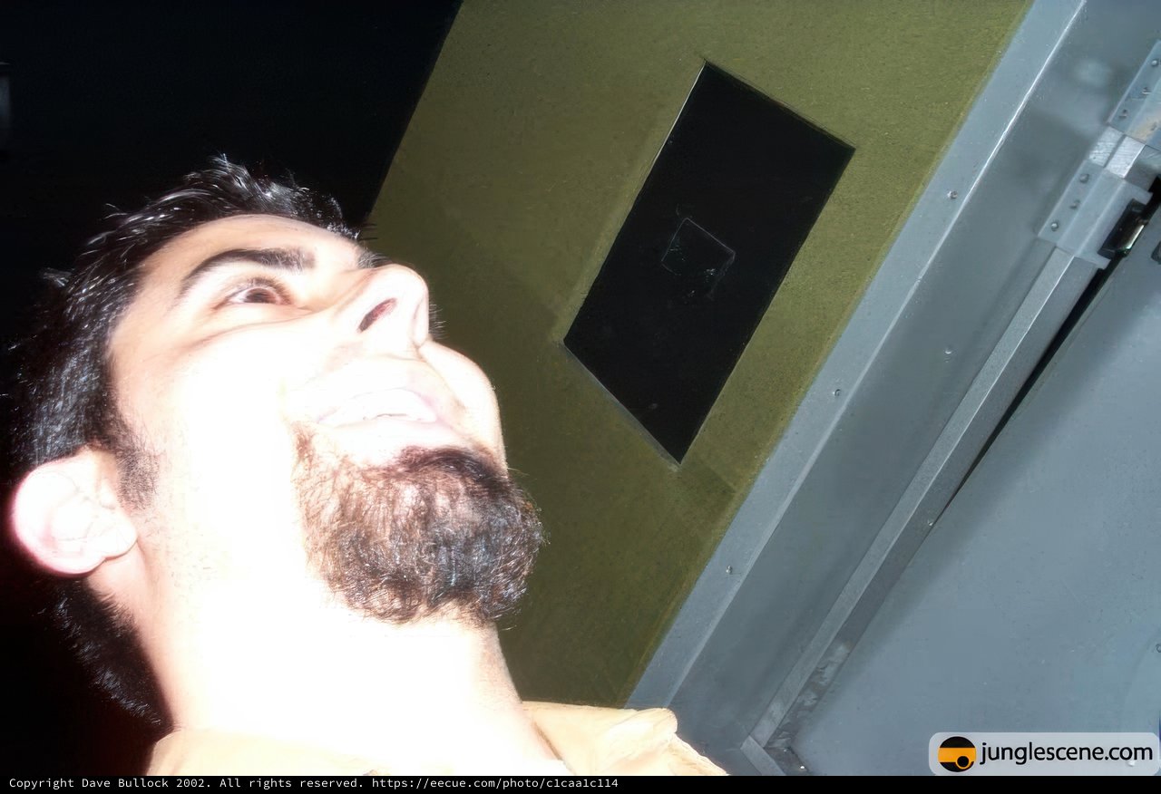 The Bearded Man