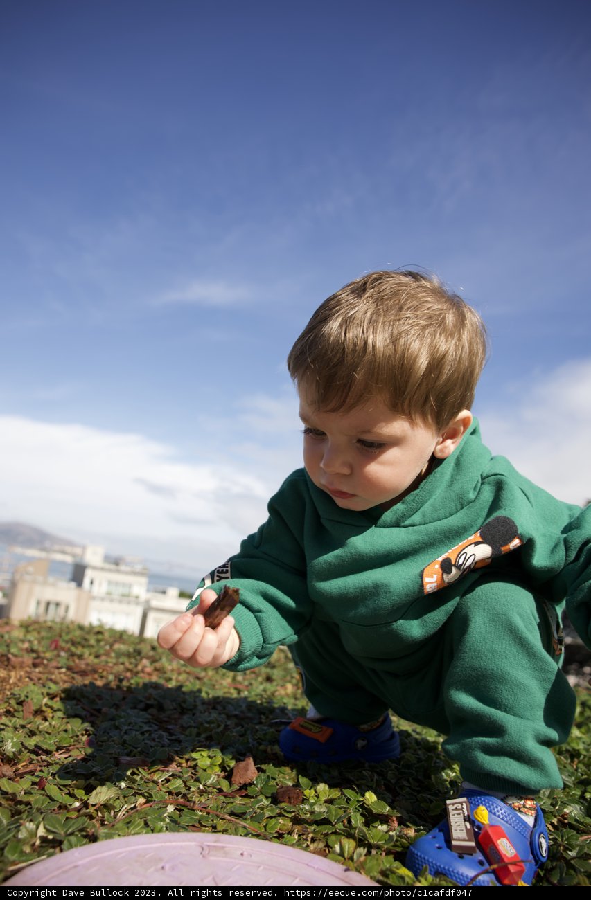 A Day in Francisco Park: Young Wesley's Adventures