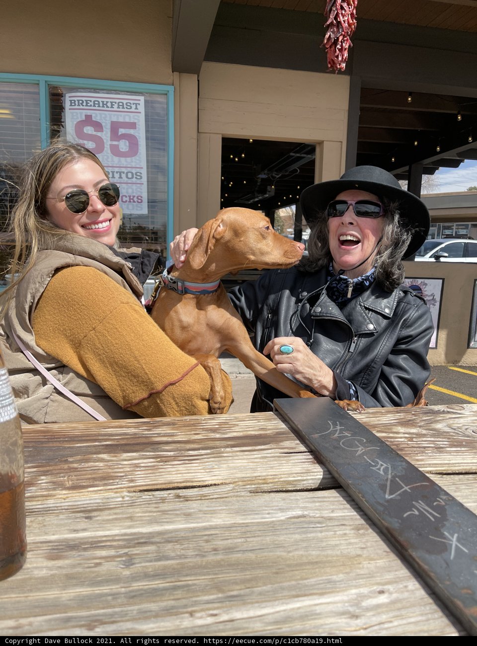Ladies and their Loyal Companion